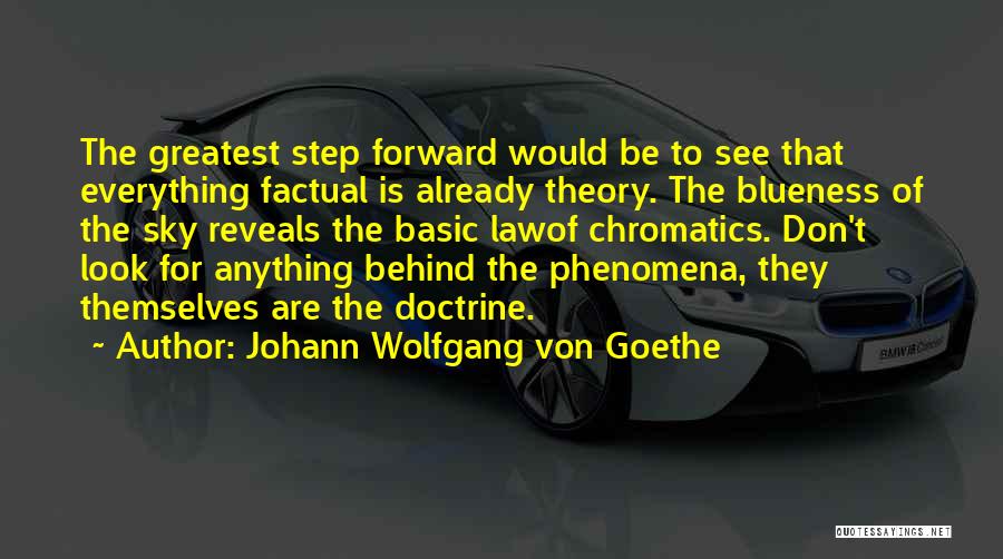 The Theory Of Everything Quotes By Johann Wolfgang Von Goethe