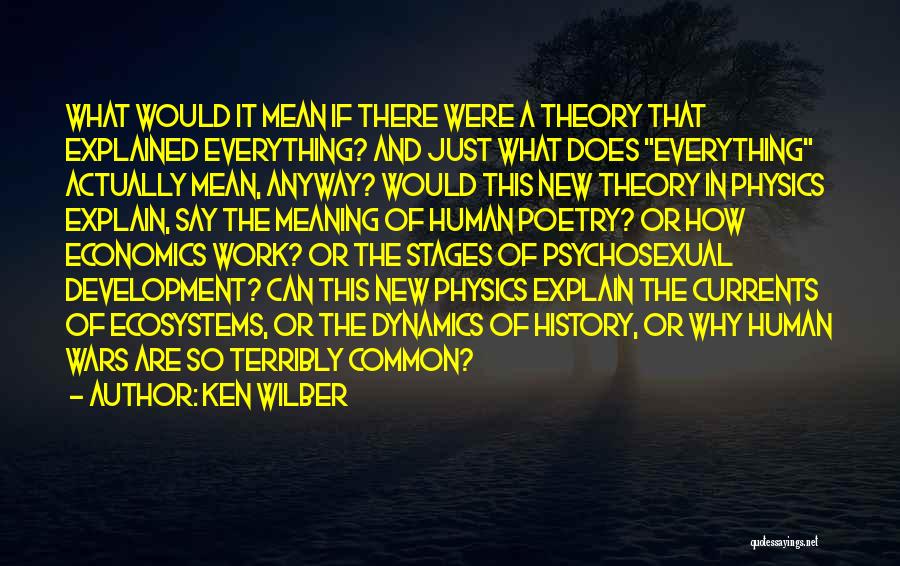 The Theory Of Everything Quotes By Ken Wilber