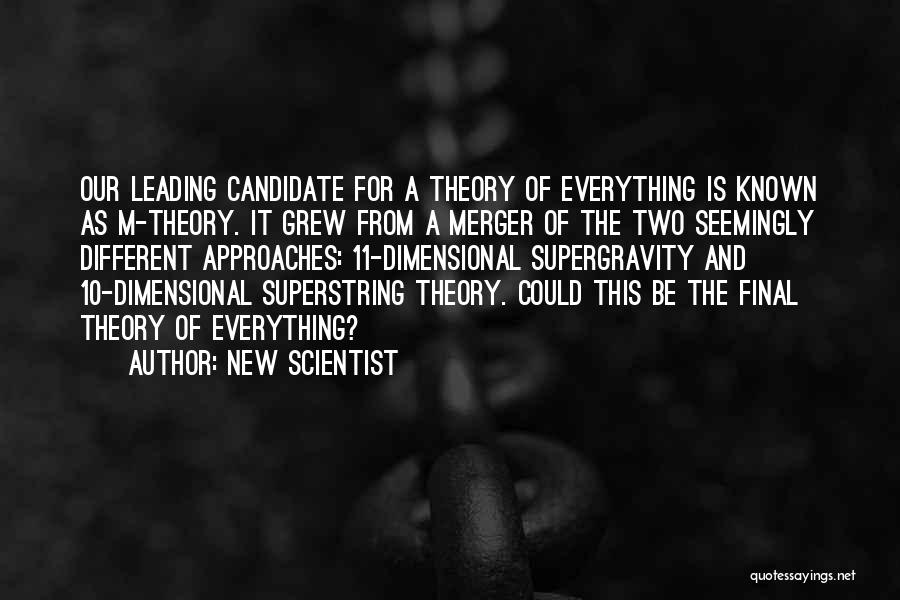 The Theory Of Everything Quotes By New Scientist