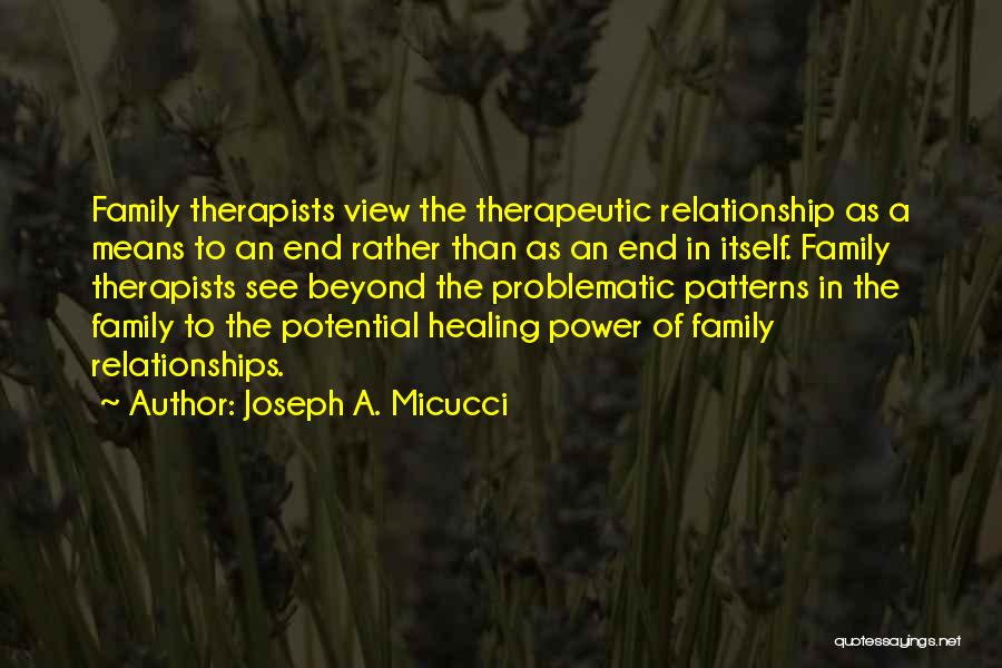 The Therapeutic Relationship Quotes By Joseph A. Micucci