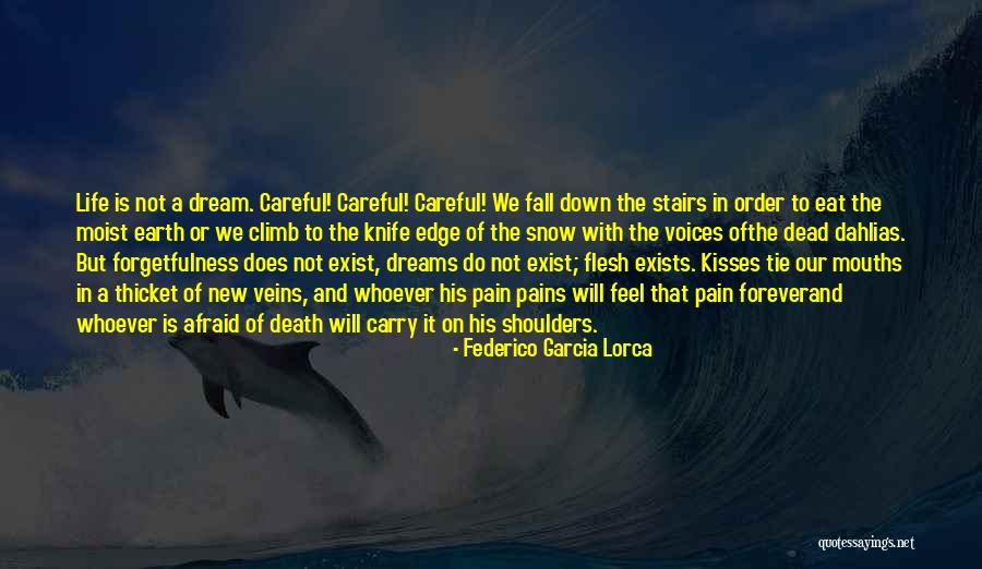 The Thicket Quotes By Federico Garcia Lorca The Thicket Quotes By Federico Garcia Lorca