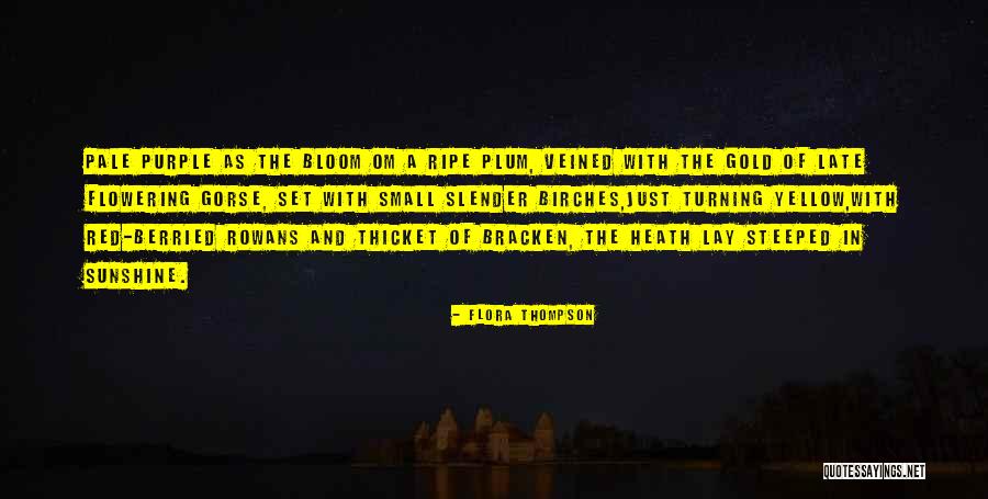 The Thicket Quotes By Flora Thompson The Thicket Quotes By Flora Thompson