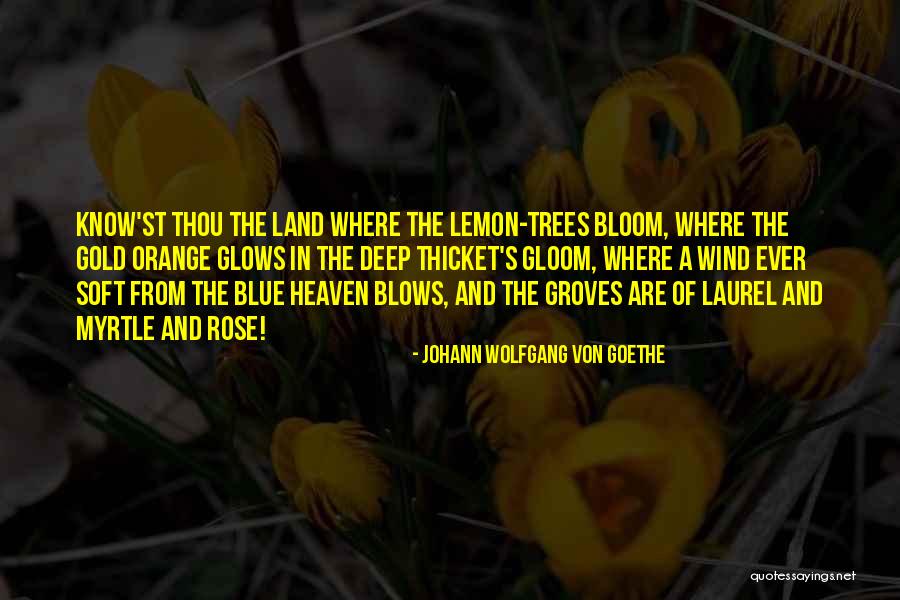 The Thicket Quotes By Johann Wolfgang Von Goethe The Thicket Quotes By Johann Wolfgang Von Goethe