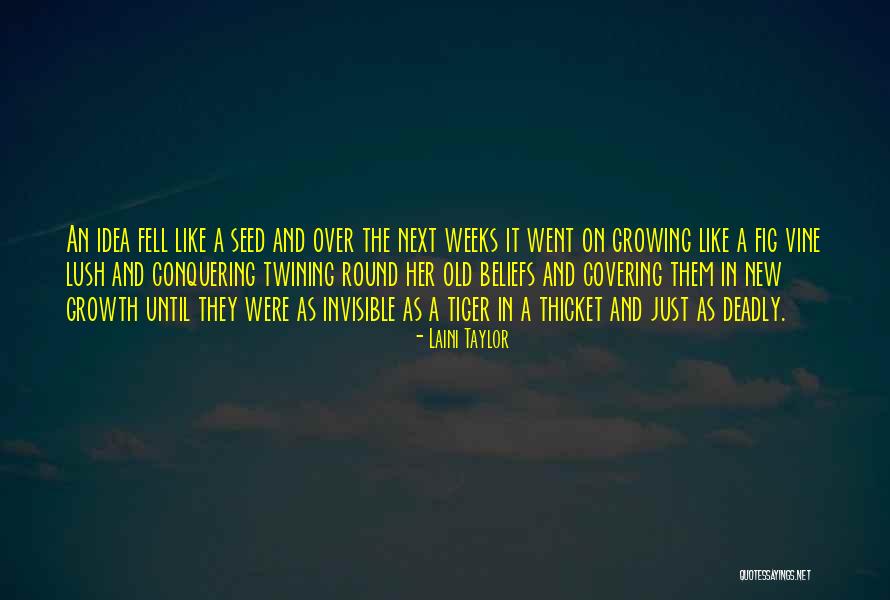 The Thicket Quotes By Laini Taylor The Thicket Quotes By Laini Taylor