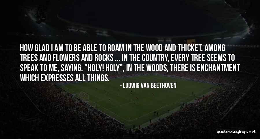 The Thicket Quotes By Ludwig Van Beethoven The Thicket Quotes By Ludwig Van Beethoven