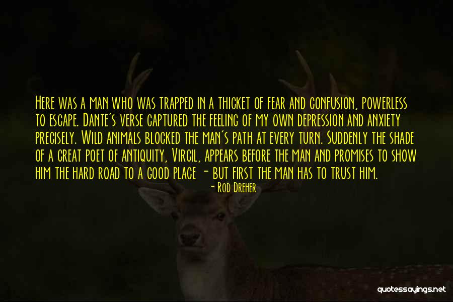 The Thicket Quotes By Rod Dreher The Thicket Quotes By Rod Dreher