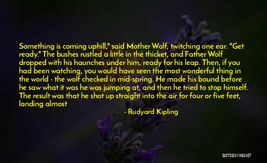 The Thicket Quotes By Rudyard Kipling The Thicket Quotes By Rudyard Kipling