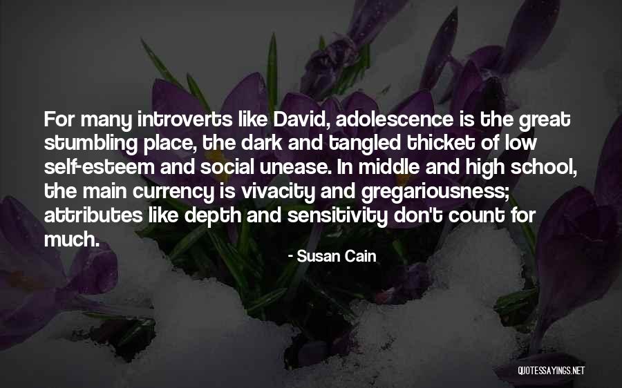 The Thicket Quotes By Susan Cain The Thicket Quotes By Susan Cain