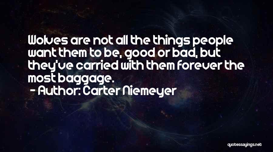 The Things They Carried Quotes By Carter Niemeyer