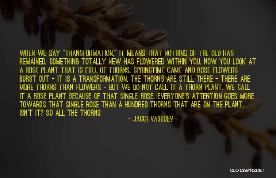 The Things You Cannot Change Quotes By Jaggi Vasudev The Things You Cannot Change Quotes By Jaggi Vasudev