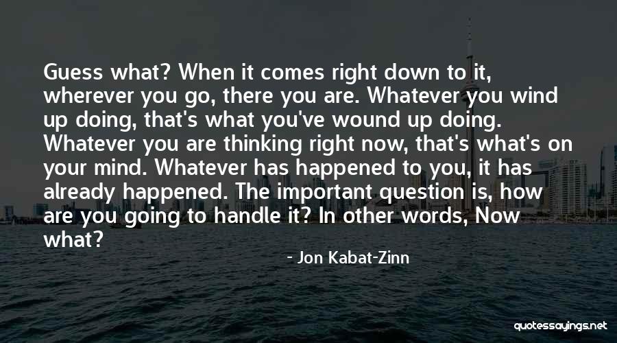 The Thinking Mind Quotes By Jon Kabat-Zinn