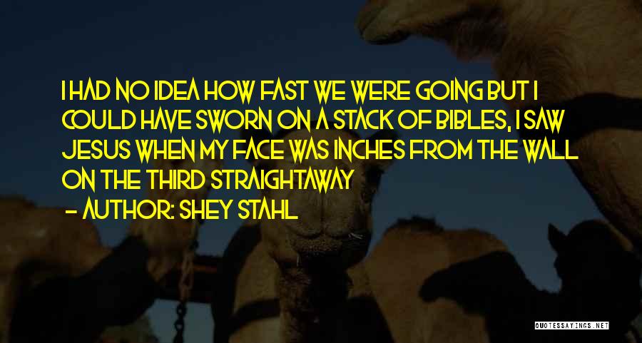 The Third Jesus Quotes By Shey Stahl