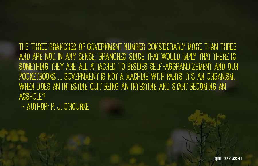 The Three Branches Of Government Quotes By P. J. O'Rourke
