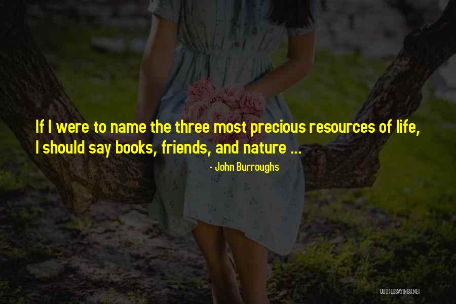 The Three Friends Quotes By John Burroughs