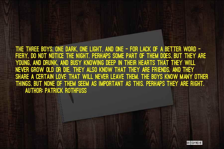 The Three Friends Quotes By Patrick Rothfuss