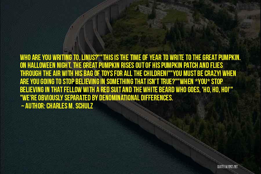 The Time Flies Quotes By Charles M. Schulz