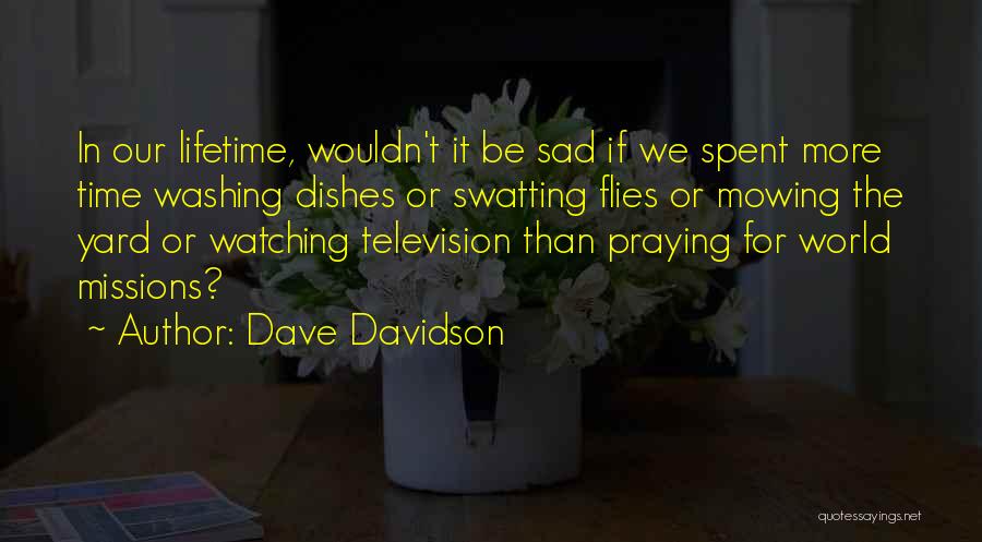The Time Flies Quotes By Dave Davidson