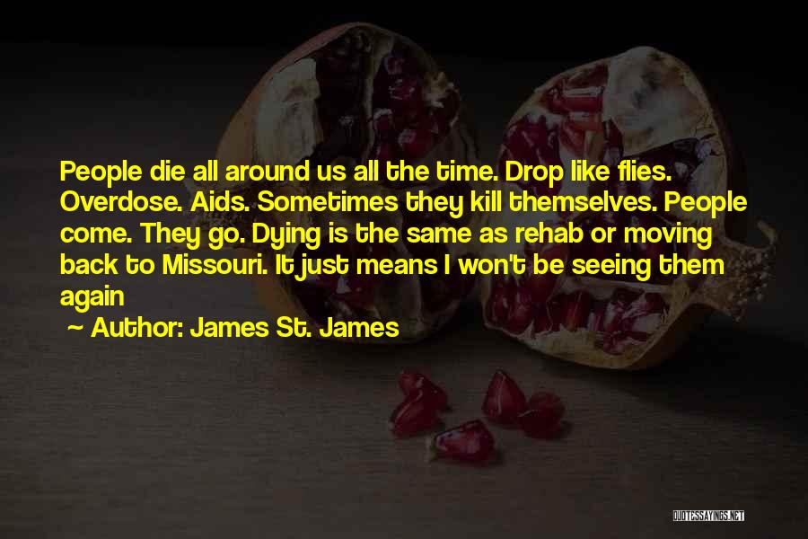 The Time Flies Quotes By James St. James