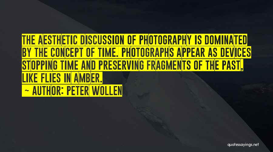The Time Flies Quotes By Peter Wollen