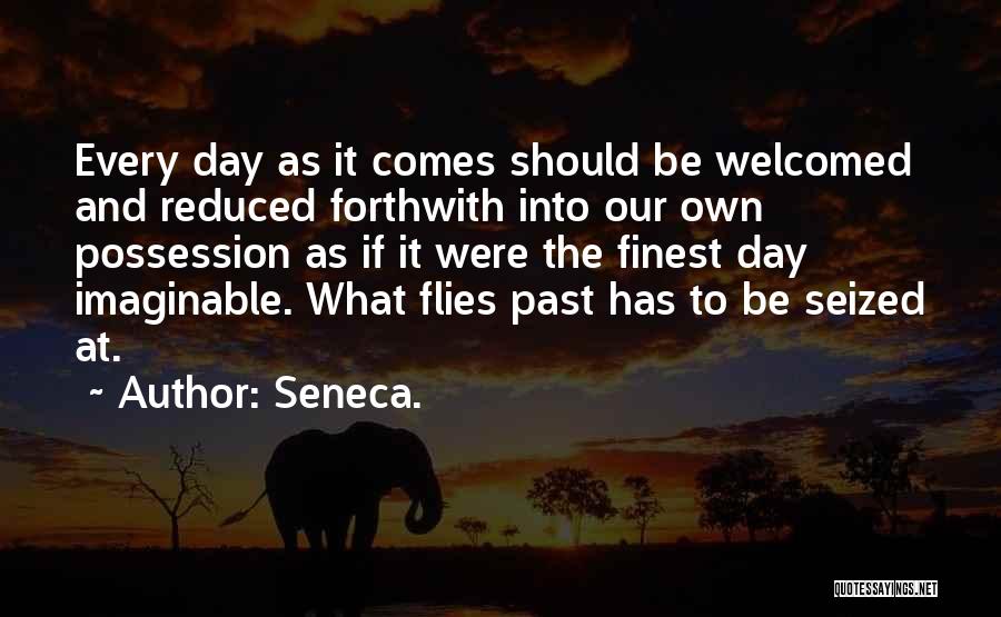 The Time Flies Quotes By Seneca.