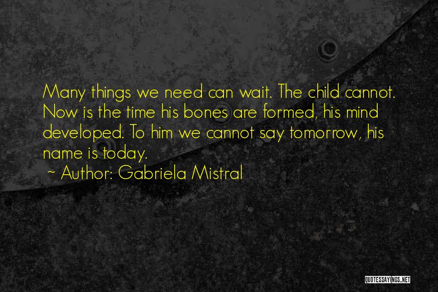The Time Is Now Quotes By Gabriela Mistral