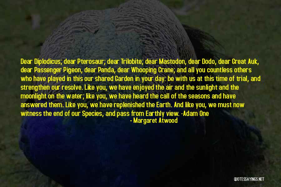 The Time We Shared Quotes By Margaret Atwood The Time We Shared Quotes By Margaret Atwood