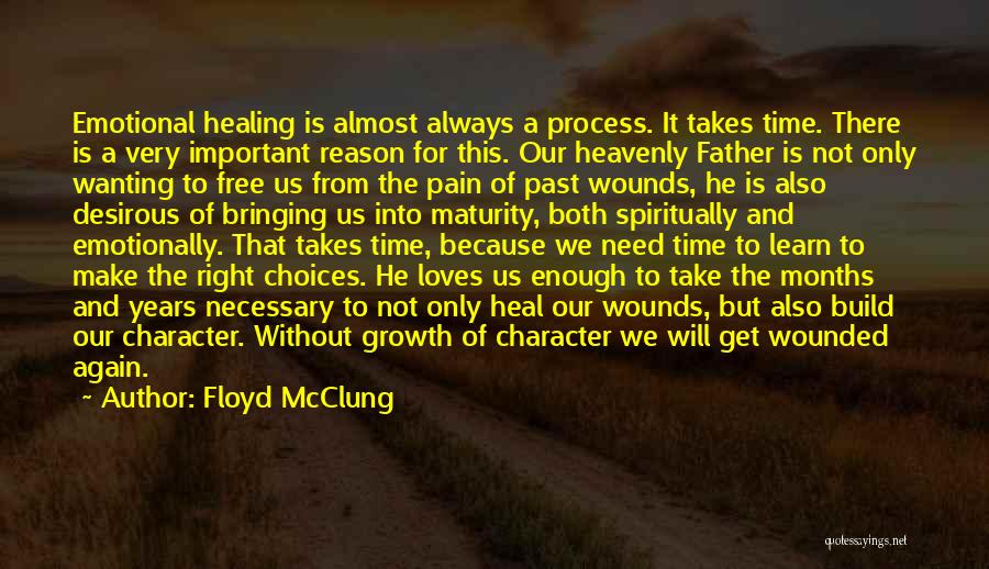 The Time Will Heal Quotes By Floyd McClung