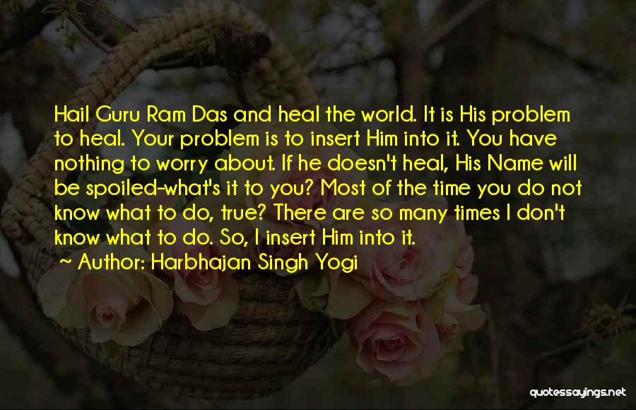 The Time Will Heal Quotes By Harbhajan Singh Yogi
