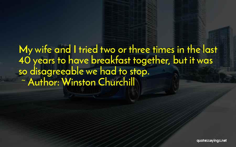 The Times We Had Together Quotes By Winston Churchill