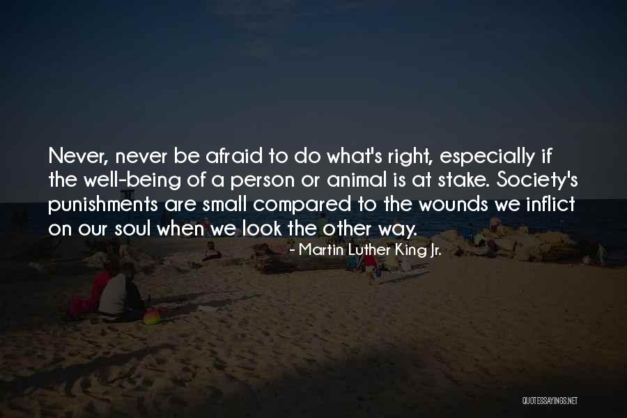 The Timingila Quotes By Martin Luther King Jr. The Timingila Quotes By Martin Luther King Jr.
