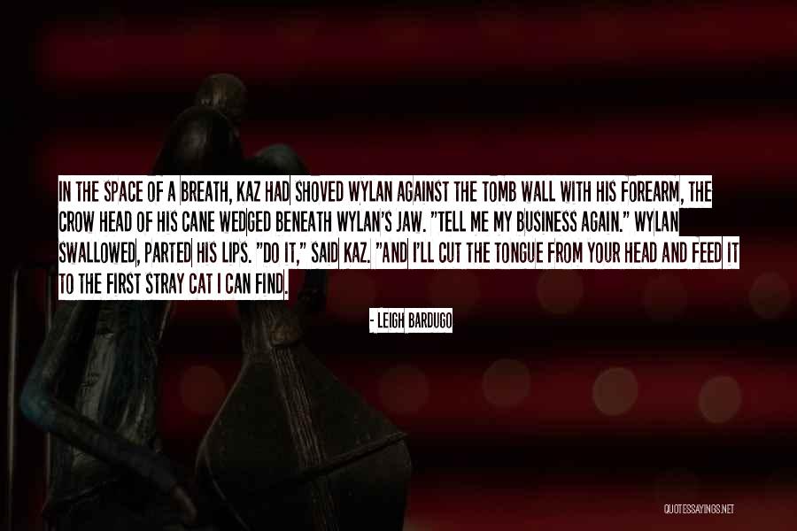 The Tomb Of Space Quotes By Leigh Bardugo The Tomb Of Space Quotes By Leigh Bardugo