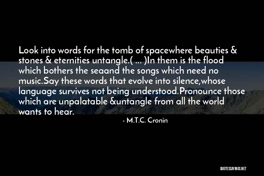 The Tomb Of Space Quotes By M.T.C. Cronin The Tomb Of Space Quotes By M.T.C. Cronin
