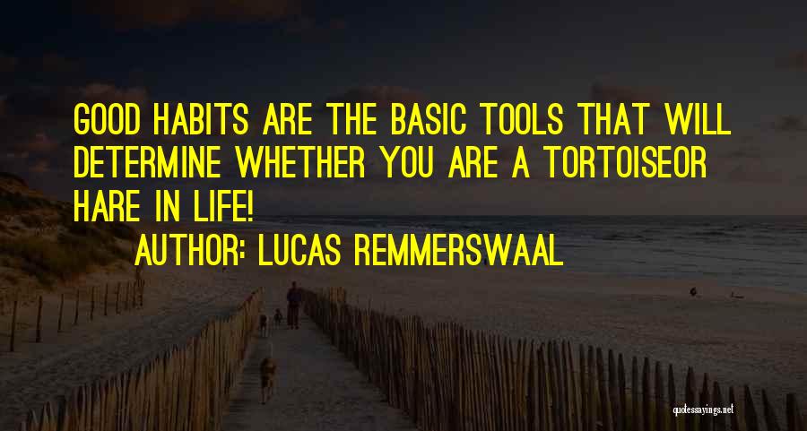 The Tortoise And The Hare Quotes By Lucas Remmerswaal