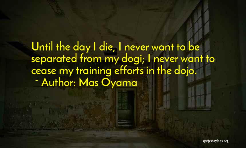 The Training Day Quotes By Mas Oyama