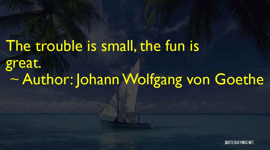 The Trouble Quotes By Johann Wolfgang Von Goethe