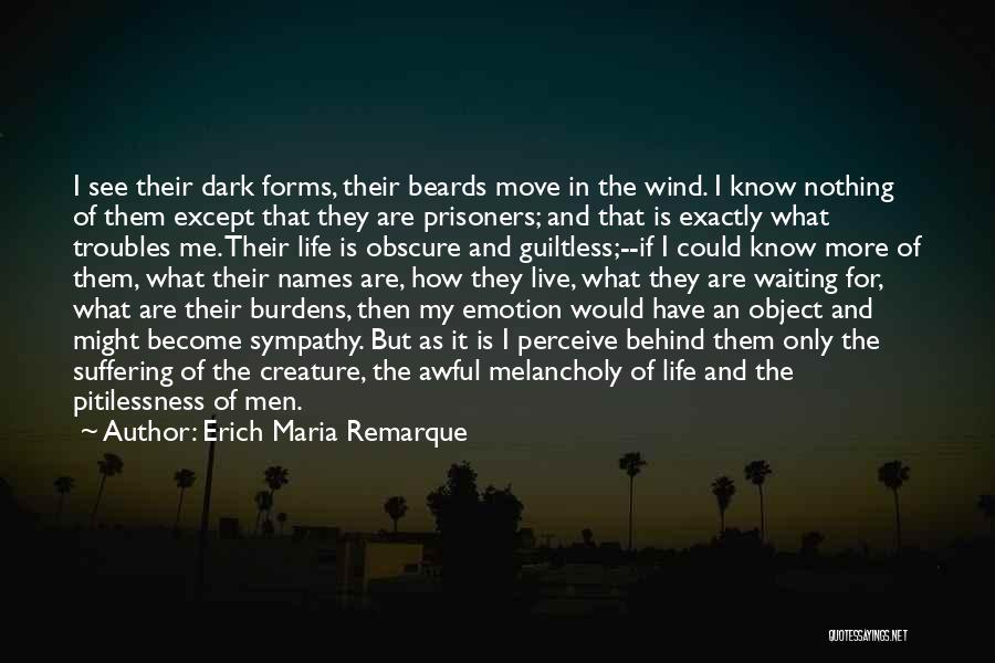 The Troubles Of Life Quotes By Erich Maria Remarque