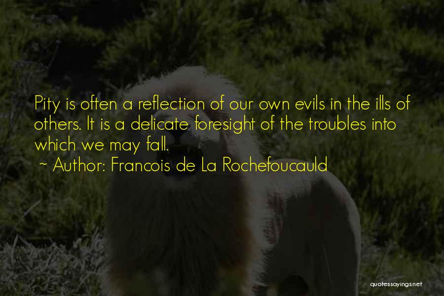 The Troubles Quotes By Francois De La Rochefoucauld