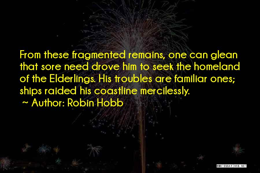 The Troubles Quotes By Robin Hobb
