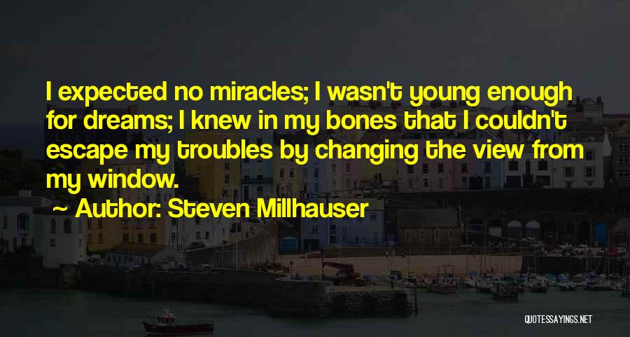 The Troubles Quotes By Steven Millhauser