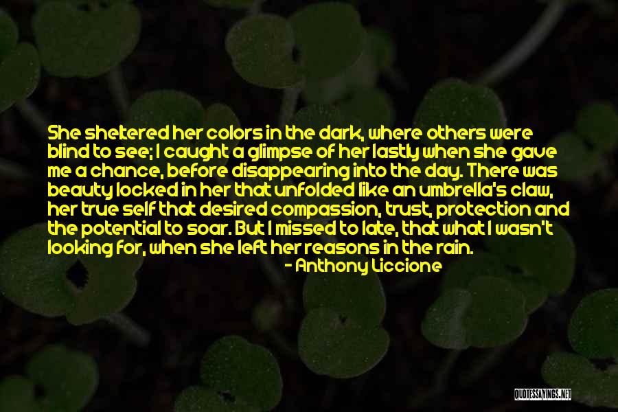 The True Beauty Quotes By Anthony Liccione The True Beauty Quotes By Anthony Liccione