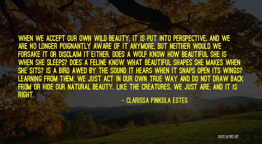 The True Beauty Quotes By Clarissa Pinkola Estes The True Beauty Quotes By Clarissa Pinkola Estes