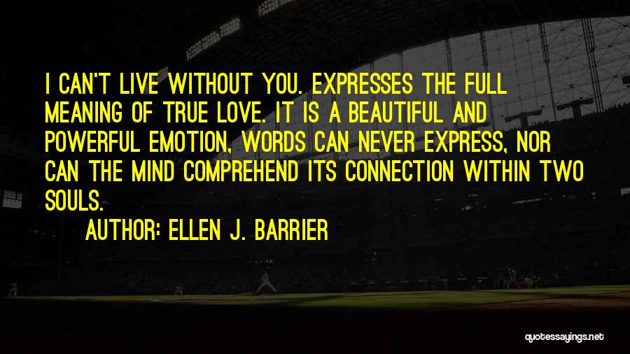 The True Meaning Of Love Quotes By Ellen J. Barrier