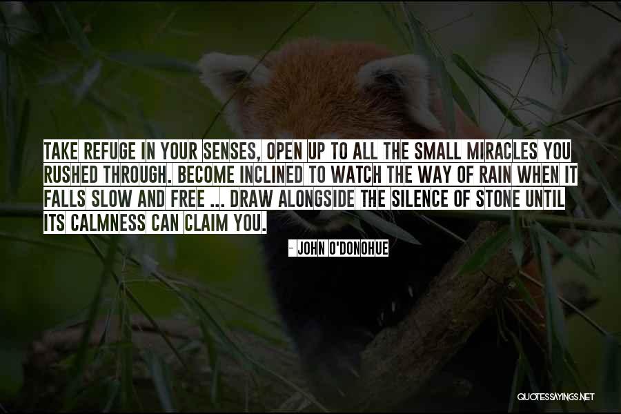 The True Meaning Of Wild Quotes By John O'Donohue The True Meaning Of Wild Quotes By John O'Donohue
