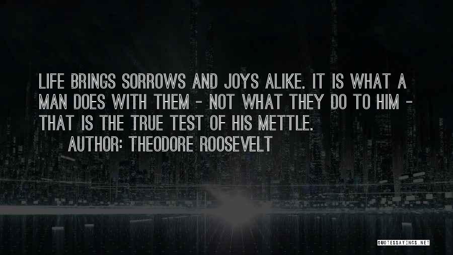 The True Test Of A Man Quotes By Theodore Roosevelt