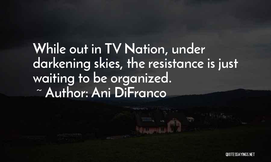 The Tv Quotes By Ani DiFranco