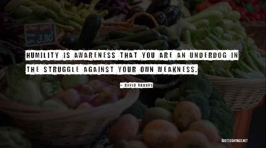 The Underdog Quotes By David Brooks The Underdog Quotes By David Brooks