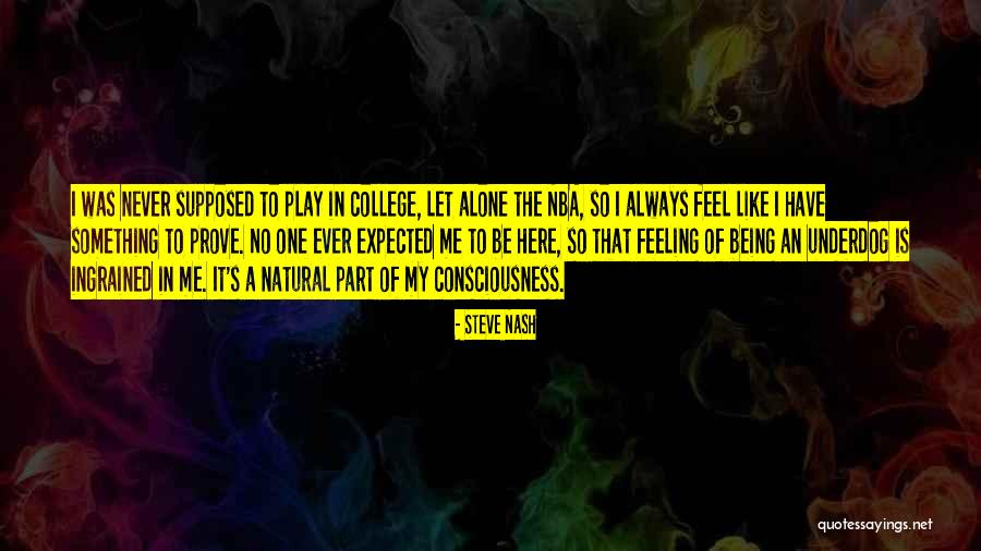 The Underdog Quotes By Steve Nash The Underdog Quotes By Steve Nash