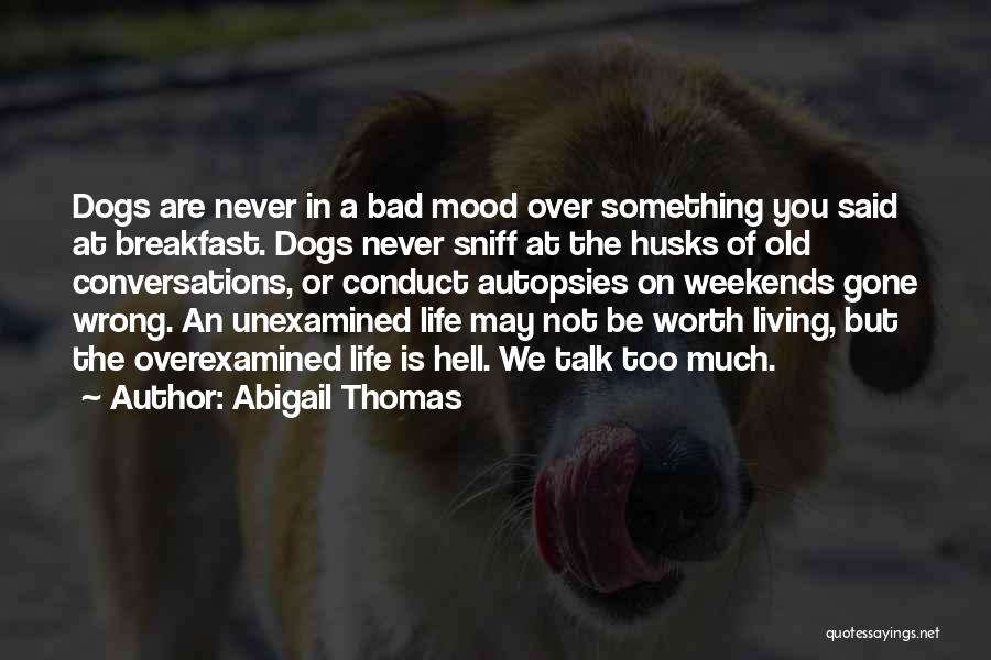 The Unexamined Life Is Not Worth Living Quotes By Abigail Thomas