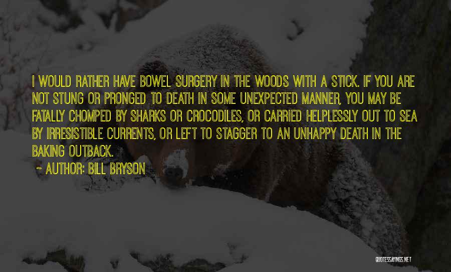 The Unexpected Death Quotes By Bill Bryson