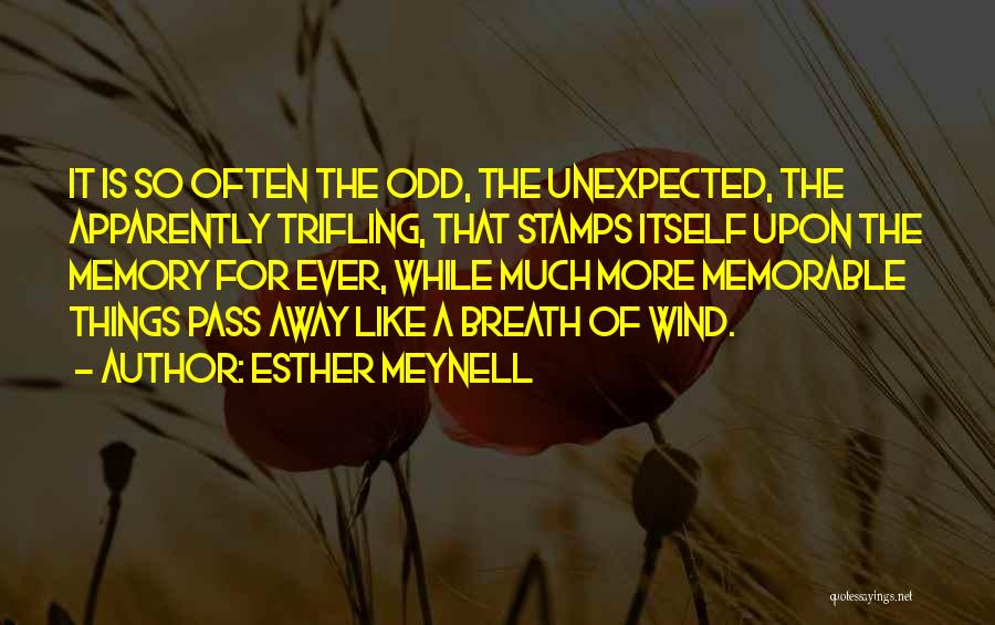 The Unexpected Things Quotes By Esther Meynell